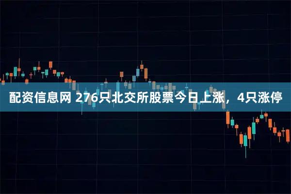 配资信息网 276只北交所股票今日上涨，4只涨停