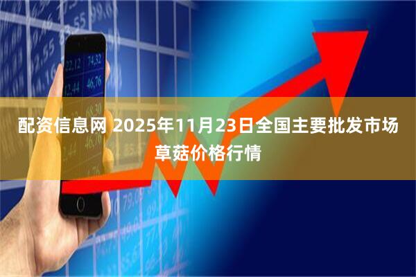 配资信息网 2025年11月23日全国主要批发市场草菇价格行情
