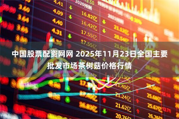 中国股票配资网网 2025年11月23日全国主要批发市场茶树菇价格行情