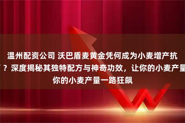 温州配资公司 沃巴盾麦黄金凭何成为小麦增产抗逆“王牌”？深度揭秘其独特配方与神奇功效，让你的小麦产量一路狂飙