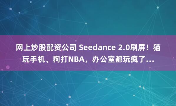 网上炒股配资公司 Seedance 2.0刷屏！猫玩手机、狗打NBA，办公室都玩疯了…